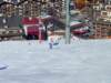 Photo Number 28
